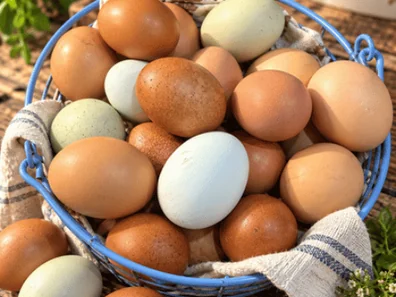 Basket of brown, cream, and pale blue eggs